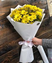 Букет цветов из:  Хризантемы #REPLACE_PRED# Суражи