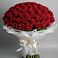 Букет 101 Красная роза Блэк Мэджик в Суражи