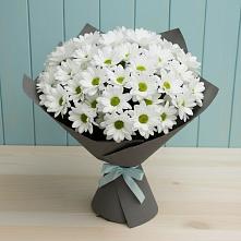 Букет цветов из:  Хризантемы в Суражи