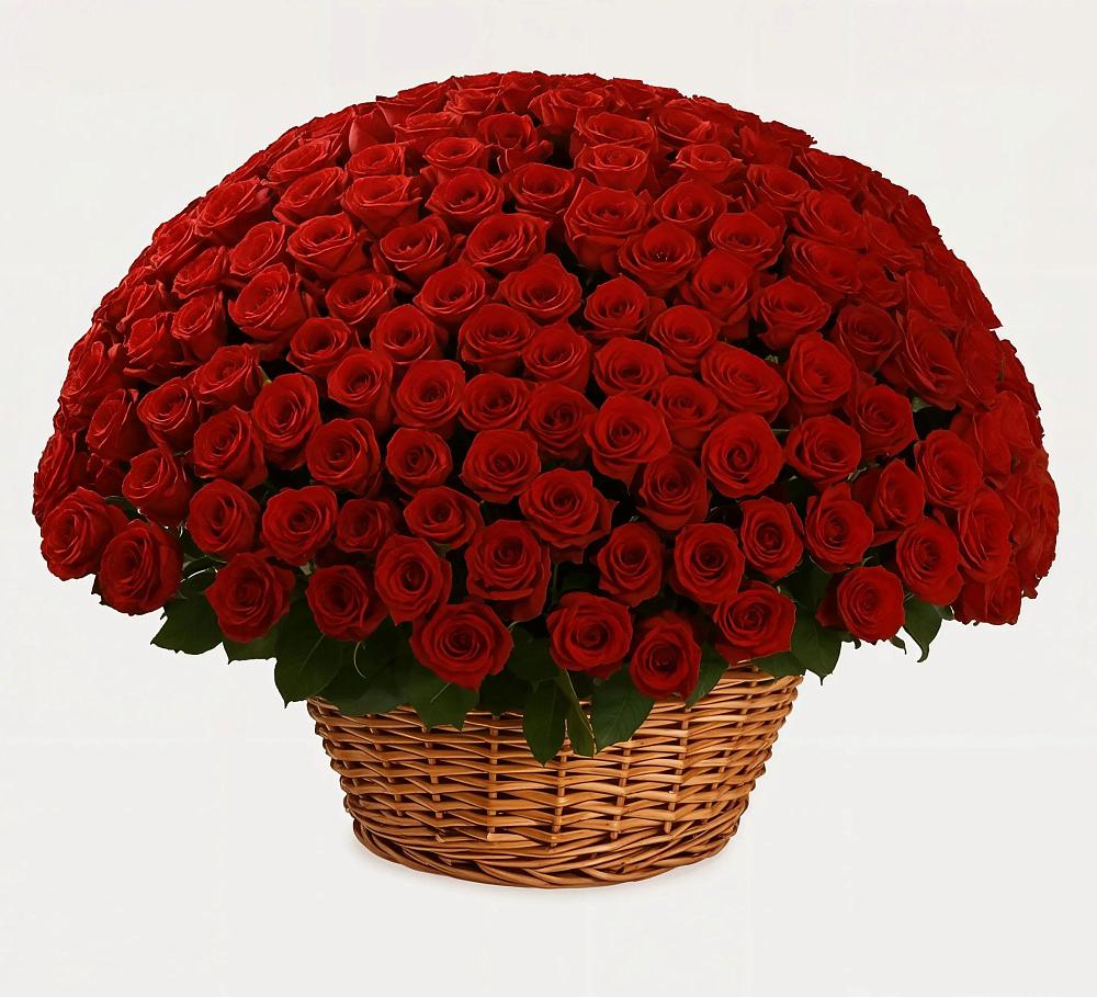 Премиум букет из: Розы в Суражи