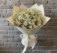 Букет цветов из:  Ромашки в Суражи