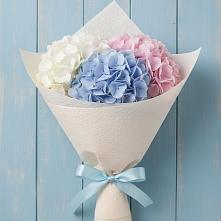 Букет цветов из:  Гортензия в Суражи