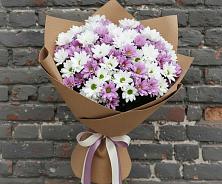 Букет цветов из:  Хризантемы в Суражи