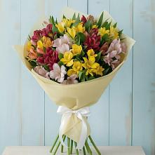 Букет цветов из:  Альстромерии в Суражи
