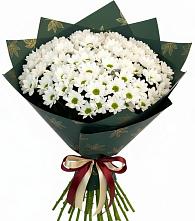 Букет цветов из:  Хризантемы в Суражи