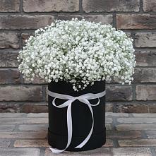 Цветочная композиция из Гипсофила в шляпной коробке в Суражи