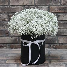 Цветочная композиция из Гипсофила в шляпной коробке в Суражи