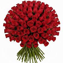 Букет Красные розы Чери Лав в Суражи