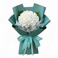 Букет цветов из:  Гортензия в Суражи